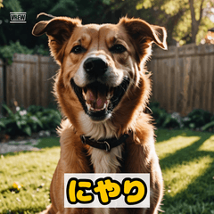 わんこリアクション！