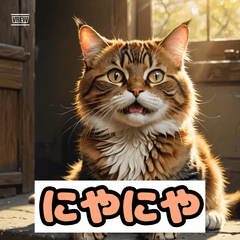 表情で語る！猫スタンプ