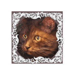 好きっちゃ　ホロ兄