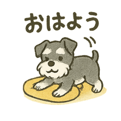 かわいいミニチュアシュナウザースタンプ