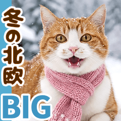 冬の北欧＊茶白猫チャチャの暮らし