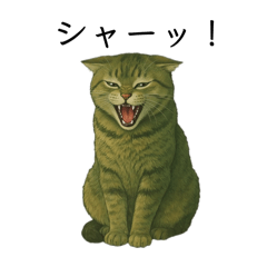 イカ耳いかちゃん Part.1