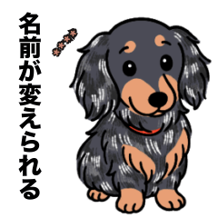 名前入りダックスロングシルバーダップル③