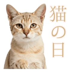 砂漠の天使スナネコの塩敬語