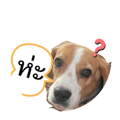 Milkshake and Blueberry_20260329211729