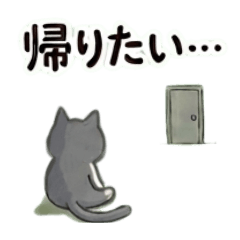 やる気ない猫♡ハチワレ♪