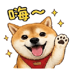 Cute and funny shiba