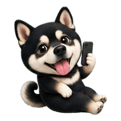 The Domineering Shiba Inu Arrives 3
