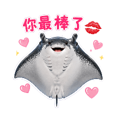 Eagles Manta Greetings