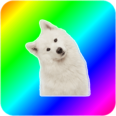 【ミックス】サモエド