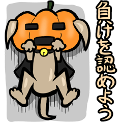 カボチャ犬（日本語版）