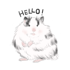 Curette: Fluffy hamster ever