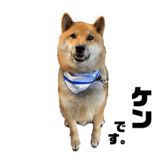 番犬ケンくん。