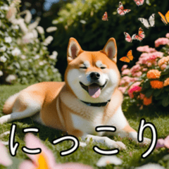 //柴犬の愉快なスタンプ//