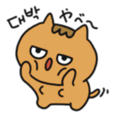 激褒め&激落ちのズボラ猫