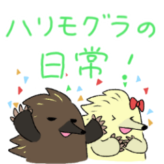 ハリモグラの日常！