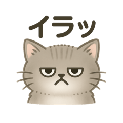 ちょ、にゃんだその感情！