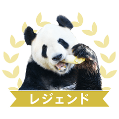 ありがとう！パンダファミリー