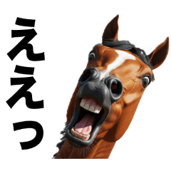 激しいウマさん☆