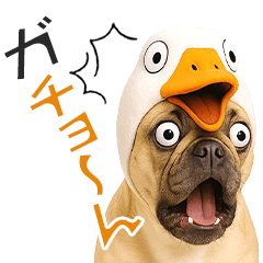 フレンチなブルさん【ダジャレ】