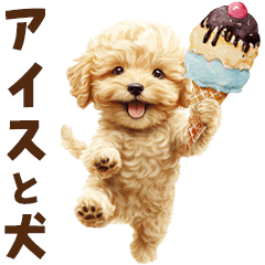 アイスクリームとトイプードル