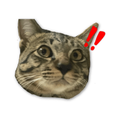 Sxkqiii_20250906173056