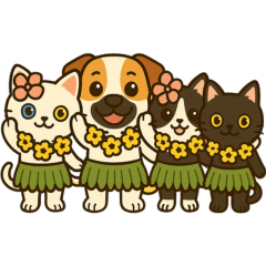 犬、白猫、黒猫　フラダンス、南国