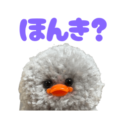 ひなちゃんの正直スタンプ