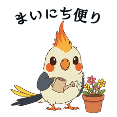 オカメインコ Miro まいにち便り