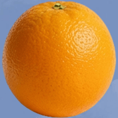 オレンジ　実写