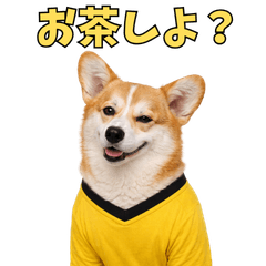 わんこお仕事モード