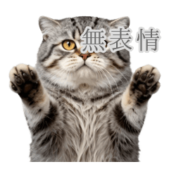 無表情マヌルネコのシュールな本音