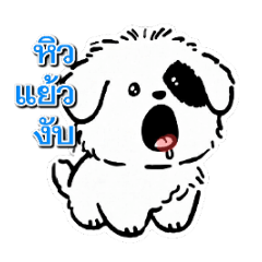 pobpo Rx_20260314203334