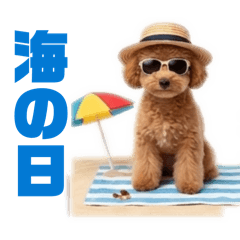 トイプードルプリティ14年中行事