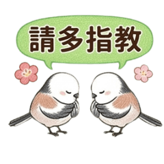 台湾♡シマエナガ♡日常/繁体字