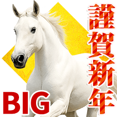 馬の写真BIG【年賀・日常】