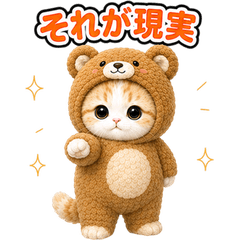 飛び出す♪きぐるみ猫 (人生)