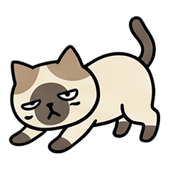 ジト目シャム猫