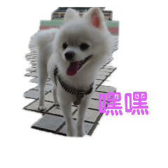 My baby's_20181110005003