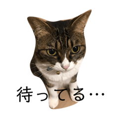 日本猫つくねのすたんぷ