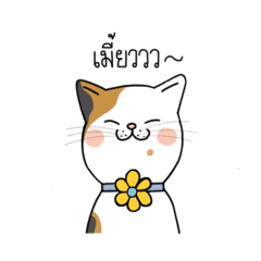 Three Meows