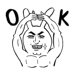 Expression White Rabbits