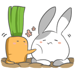 Rabbits daily 2