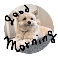 癒されワンコスタンプ