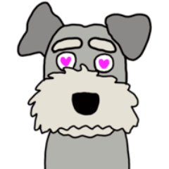 Miniature Schnauzer By  HIRO