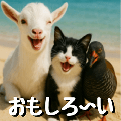 仲良し三匹の日記