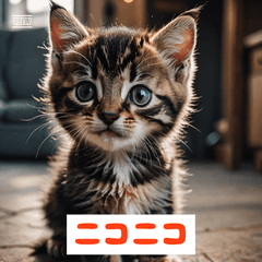 気まぐれ子猫スタンプ