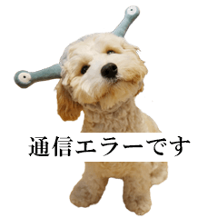 キャバションのアルバだよ。3