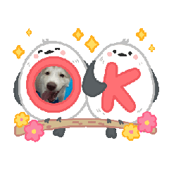 sticker kampood_20250620221659