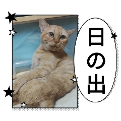 ラインしりとり専門